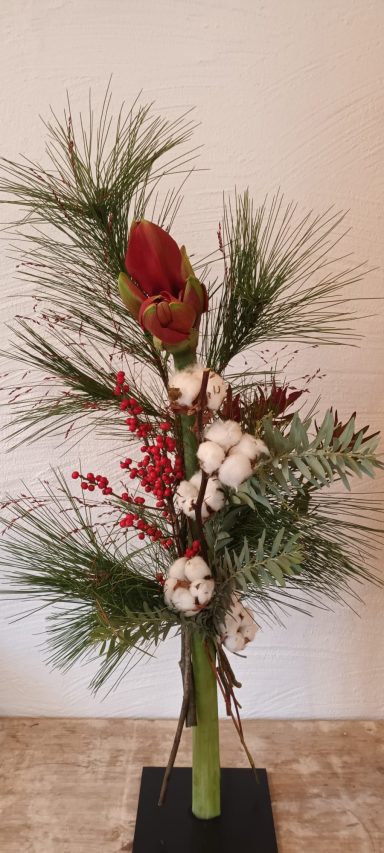 Der kleine Rudolf